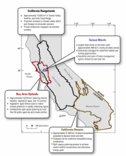Graphic showing case studies presented in this paper.
